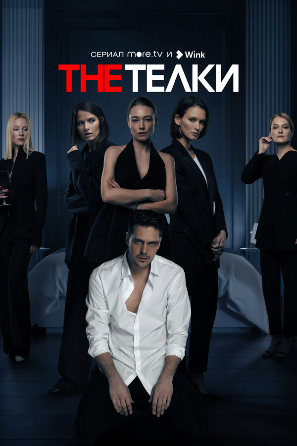 The Телки постер